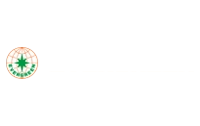 evergreen